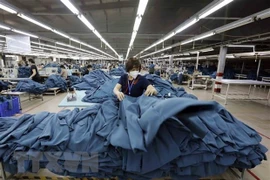 May hàng xuất khẩu sang thị trường Tây Ban Nha tại Công ty may Hồ Gươm (Hưng Yên). Ảnh minh họa. (Ảnh: Trần Việt/TTXVN) 