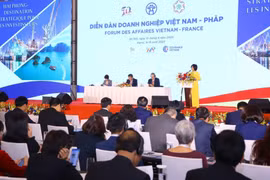 Diễn đàn doanh nghiệp Việt Nam-Pháp. (Ảnh: Văn Điệp/TTXVN)