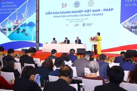 Diễn đàn doanh nghiệp Việt Nam-Pháp. (Ảnh: Văn Điệp/TTXVN)