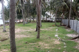 Bờ biển bị bao chiếm, vi phạm hành lang ven biển. (Ảnh: Lê Huy Hải/TTXVN)