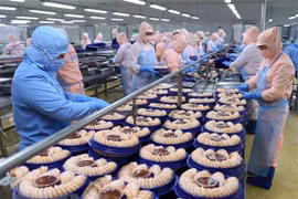 Chế biến tôm xuất khẩu tại Công ty Cổ phần Tập đoàn Thủy sản Minh Phú. (Ảnh: Vũ Sinh/TTXVN) 