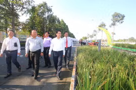 Khách tham quan triển lãm Con đường Lúa Gạo Việt Nam. (Ảnh: Duy Khương/TTXVN)