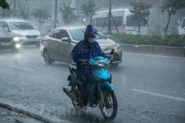 Chiều tối và đêm 18/6, Bắc Bộ có mưa rào, dông, cục bộ có mưa to. (Ảnh: Minh Sơn/Vietnam+) 