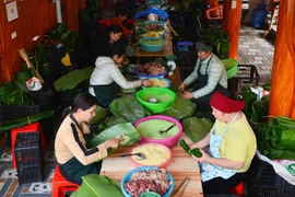Bánh chưng gù là một loại bánh truyền thống mang đậm nét bản sắc từ rất lâu đời của dân tộc Tày ở thôn Bản Tùy, tỉnh Hà Giang, là món ẩm thực không thể thiếu trong các dịp lễ, Tết cổ truyền. (Ảnh: Nam Thái/TTXVN)