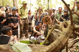 Thông qua nghi lễ cúng Thần Rừng, người dân cũng như các lực lượng chức năng làm nhiệm vụ quản lý bảo vệ rừng tại đây mong muốn Thần rừng che chở, phù hộ cho mưa thuận gió hòa, cho nước để sản xuất, cho cây để làm nhà, bảo vệ cho dân làng được an toàn. (Ả
