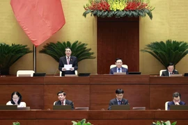 Phó Chủ tịch Quốc hội Nguyễn Đức Hải điều hành phiên họp. (Ảnh: Doãn Tấn/TTXVN) 