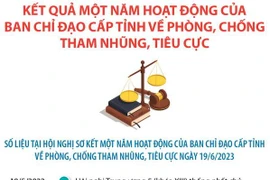 Kết quả 1 năm hoạt động của BCĐ cấp tỉnh về phòng, chống tham nhũng