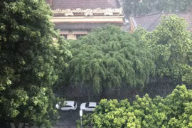Khu vực Trung Bộ, Tây Nguyên và Nam Bộ chủ động ứng phó với mưa lớn