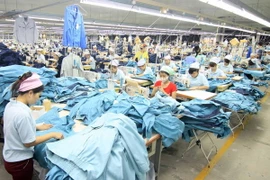 (Ảnh minh họa: Vũ Sinh/TTXVN)