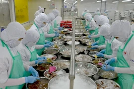 Chế biến thủy sản xuất khẩu. (Ảnh: Bùi Như Trường Giang/TTXVN)