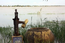 Nước sinh hoạt bị nhiễm phèn, mặn. (Ảnh: Lê Sen/TTXVN)