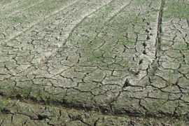 Đồng ruộng tại nhiều địa phương trong tỉnh Nghệ An đang khô hạn, thiếu nước. (Ảnh : Nguyễn Văn Nhật/TTXVN)