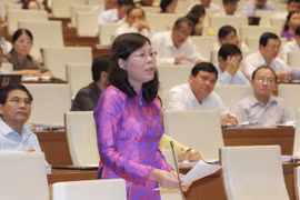 Đại biểu Quốc hội tỉnh Phú Thọ Lê Thị Yến phát biểu ý kiến. (Ảnh: Phương Hoa/TTXVN)