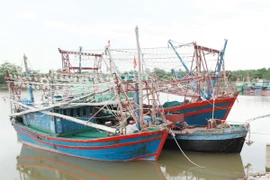 Tàu thuyền về neo đậu tránh bão tại âu cảng Mắt Rồng, Thủy Nguyên (Hải Phòng). (Ảnh: Lâm Khánh/TTXVN)