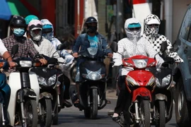 Ảnh chỉ có tính minh họa. (Ảnh: Lâm Khánh/TTXVN)