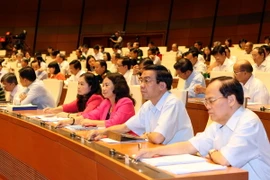Đại biểu Quốc hội biểu quyết Dự án Cảng Hàng không quốc tế Long Thành. (Ảnh: Phạm Kiên/TTXVN)