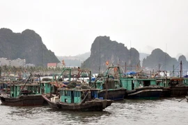 Tàu thuyền đã cập bến an toàn tại thành phố Hạ Long. (Ảnh: Nguyễn Hoàng/TTXVN)