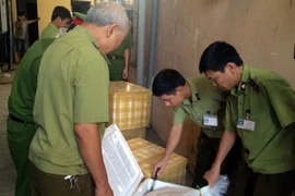 (Ảnh minh họa: Hải Yến/TTXVN)