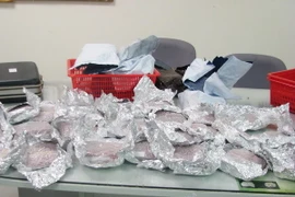 Ảnh chỉ có tính minh họa. (Nguồn: TTXVN)