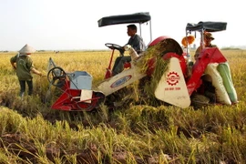 Cơ giới hóa nông nghiệp chưa đáp ứng được yêu cầu sản xuất