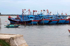 Tàu thuyền neo đậu tránh trú bão tại khu neo đậu Cửa Hội (Nghệ An) chiều 22/6. (Ảnh: Thanh Tùng/TTXVN)