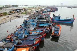 Tàu thuyền của các tỉnh, thành phố về neo đậu tránh trú bão số 1 tại Âu thuyền Thọ Quang (Đà Nẵng). (Ảnh: Trần Lê Lâm/TTXVN)