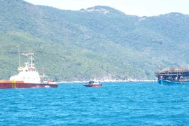 Ảnh chỉ có tính minh họa. (Ảnh: Nguyên Lý/TTXVN)