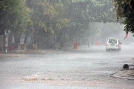 Ảnh chỉ có tính minh họa. (Ảnh: Trần Lê Lâm/TTXVN)