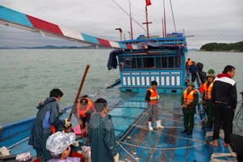 (Ảnh minh họa: Nguyễn Hoàng/TTXVN)