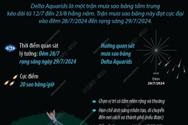 Những điều cần biết về trận mưa sao băng Delta Aquarids 2024 