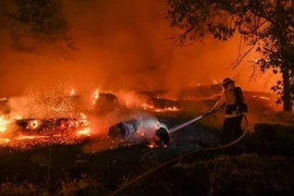 Lính cứu hỏa nỗ lực dập lửa cháy rừng tại Chico, California. (Ảnh: Getty Images/TTXVN)