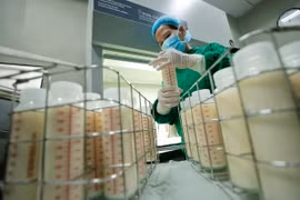 Khâu sàng lọc sữa trước khi thanh trùng. (Ảnh: Minh Quyết/TTXVN)