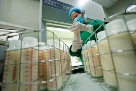 Khâu sàng lọc sữa trước khi thanh trùng. (Ảnh: Minh Quyết/TTXVN)