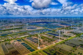 Cánh đồng điện gió ven biển Bạc Liêu đem lại nguồn năng lượng phong phú. (Ảnh: Tuấn Kiệt/TTXVN)