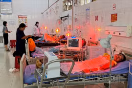 Các bệnh nhân điều trị tại Khoa Hồi sức cấp cứu chống độc, Trung tâm Y tế huyện Đắk R'lấp. (Nguồn: Báo Đắk Nông)