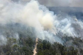 Khói bốc lên từ đám cháy rừng trên đảo Fraser thuộc bang Queensland, Australia. (Ảnh: AFP/TTXVN)