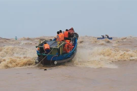 Ảnh minh họa. (Ảnh: Hồ Cầu/TTXVN)