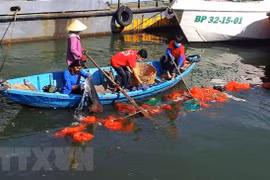 Thu gom rác thải nhựa trên mặt biển vùng khu vực cảng Quy Nhơn, tỉnh Bình Định. (Ảnh: Nguyên Linh/TTXVN)