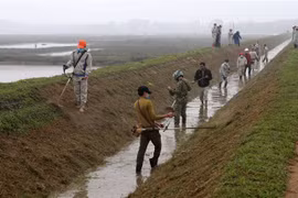 Công nhân Công ty Quản lý thủy nông Quảng Trị tham gia làm thủy lợi tại xã Gio Châu, huyện Gio Linh. (Ảnh: Hồ Cầu/TTXVN)