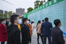 Người tìm việc theo dõi thông tin tại một hội chợ việc làm ở Vũ Hán, tỉnh Hồ Bắc, Trung Quốc trong bối cảnh thành phố vừa trải qua cuộc khủng hoảng nghiêm trọng do dịch COVID-19 bùng phát. (Ảnh: THX/TTXVN)
