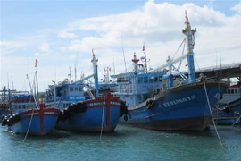 Tàu cá khai thác xa bờ của ngư dân neo đậu tại bến cá Mỹ Tân (xã Thanh Hải, huyện Ninh Hải, Ninh Thuận). (Ảnh: Nguyễn Thành/TTXVN)