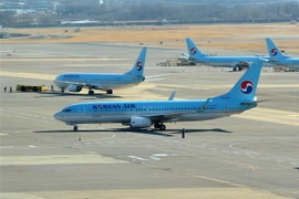 Máy bay của Hãng hàng không Hàn Quốc Korean Air tại sân bay Gimpo ở Seoul. (Ảnh: AFP/TTXVN)