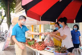 Tuổi trẻ Sơn La chung tay góp sức tiêu thụ vải thiều Bắc Giang. (Ảnh: Quang Quyết/TTXVN)