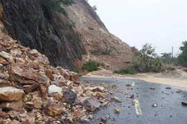 (Ảnh minh họa: TTXVN phát)