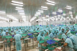 (Ảnh minh họa: Phạm Hậu/TTXVN)