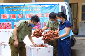 Sản phẩm vải thiều Bắc Giang. (Ảnh: Đinh Tuấn/TTXVN)