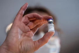 Vaccine phòng COVID-19 do hãng dược Pfizer (Mỹ) và BioNTech (Đức) phối hợp phát triển. (Ảnh: THX/ TTXVN)