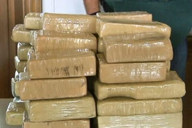 Malaysia bắt giữ lượng ma túy kỷ lục trong năm 2013