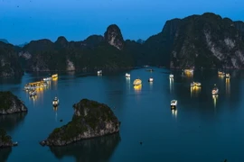 Tàu du lịch trên Vịnh Hạ Long. (Ảnh: Minh Đức/TTXVN)