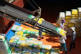 Chế biến gạo xuất khẩu tại Công ty Cổ phần Xuất nhập khẩu Kiên Giang. (Ảnh: Lê Huy Hải/TTXVN)